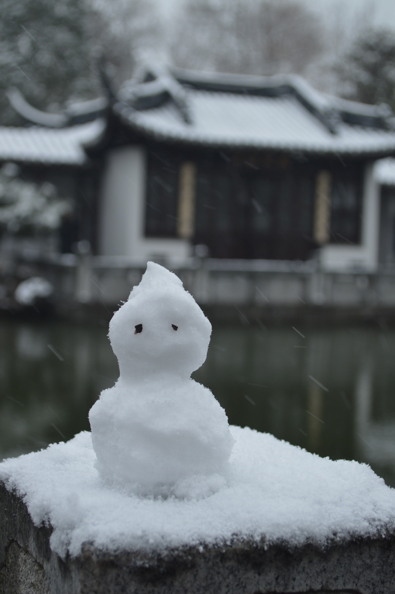 香雪海旅行图片 3