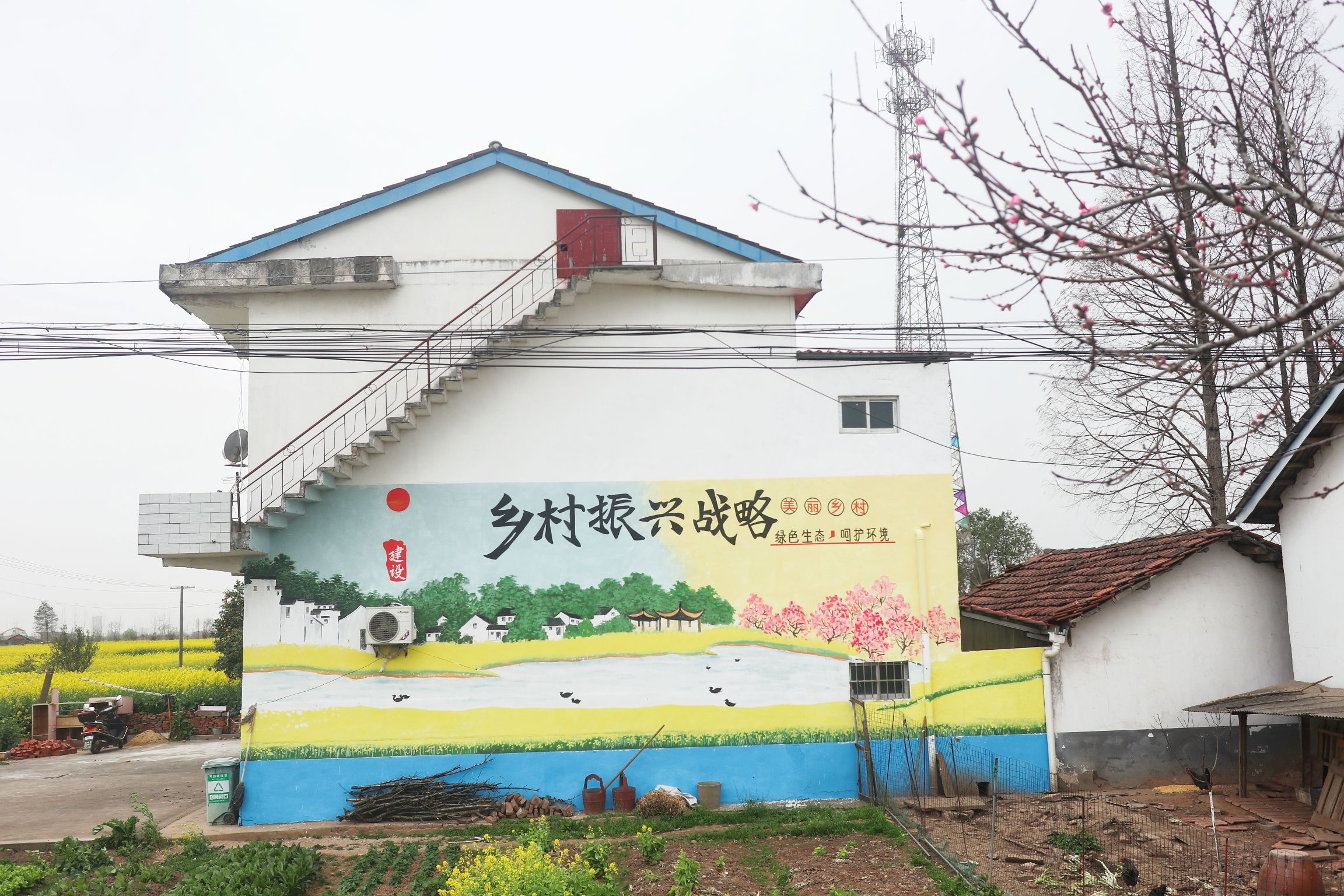 金色花海旅行图片 1