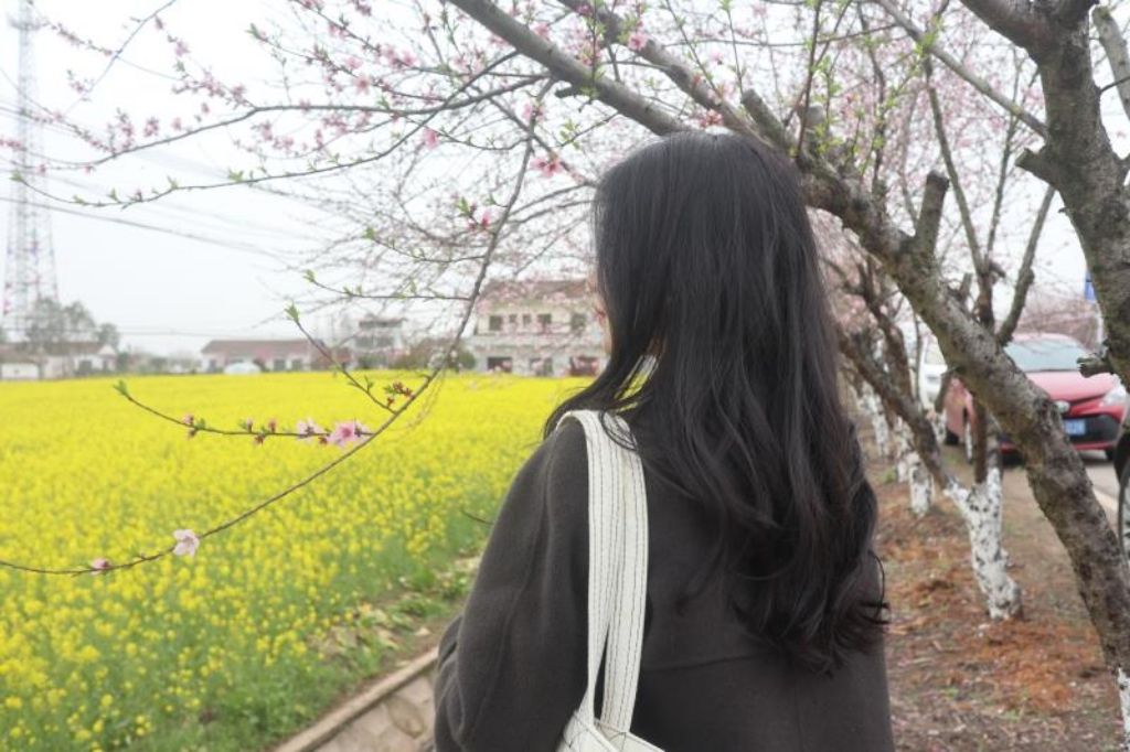 金色花海旅行图片 3