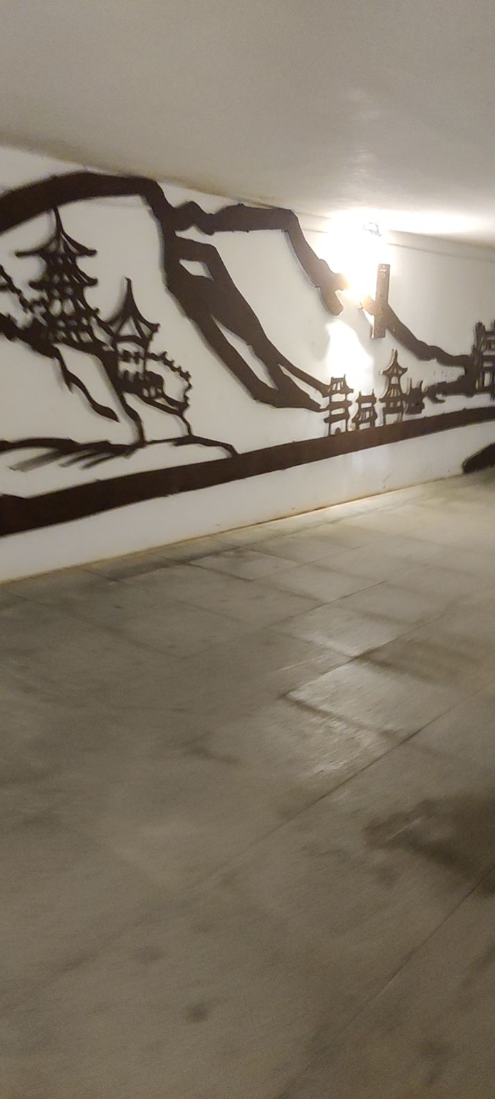 息县龙湖景区旅行图片 2