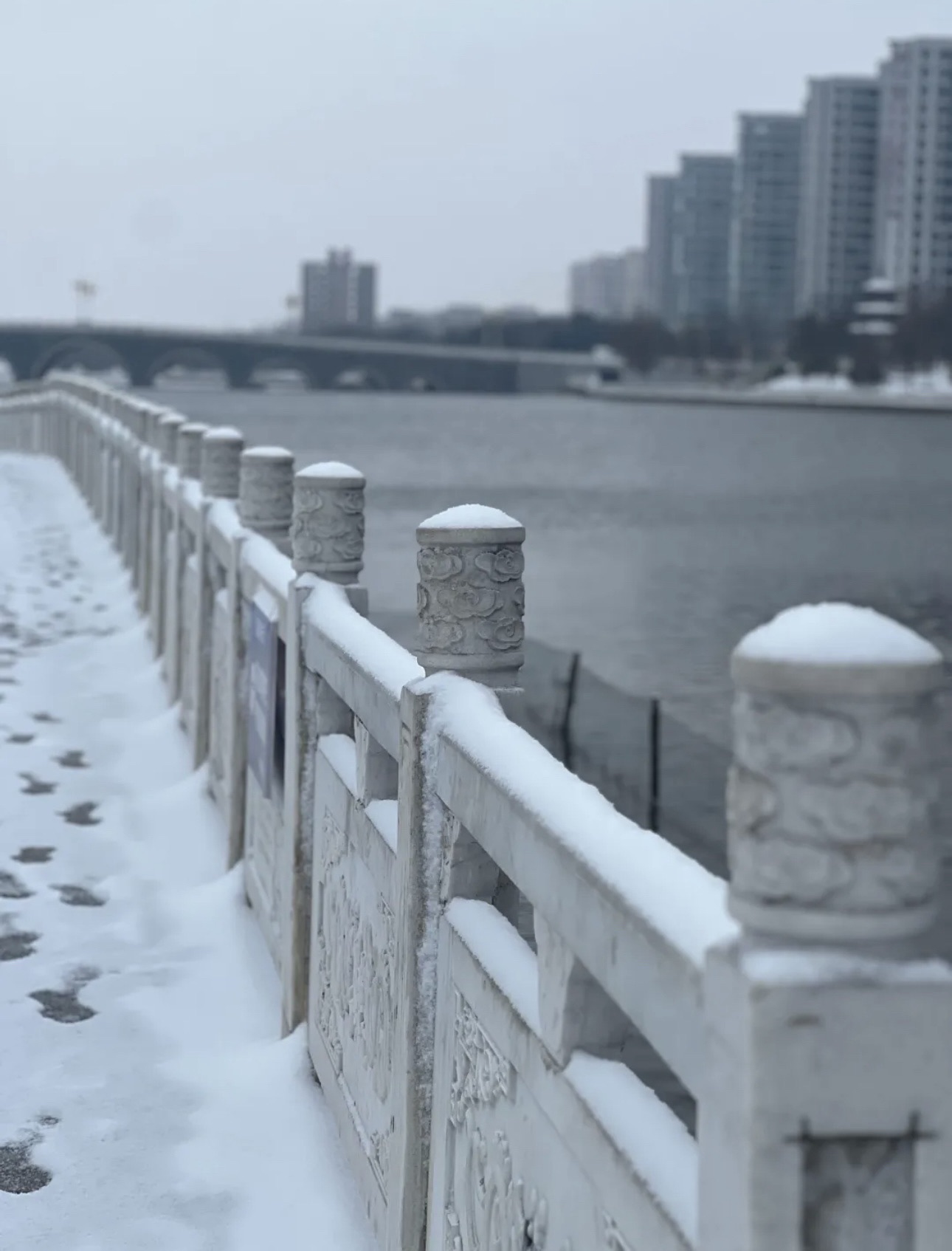 息县龙湖景区旅行图片 3