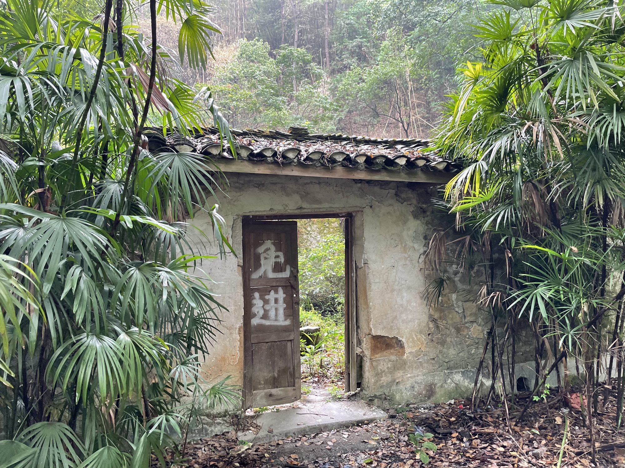 孔雀谷旅行图片 2