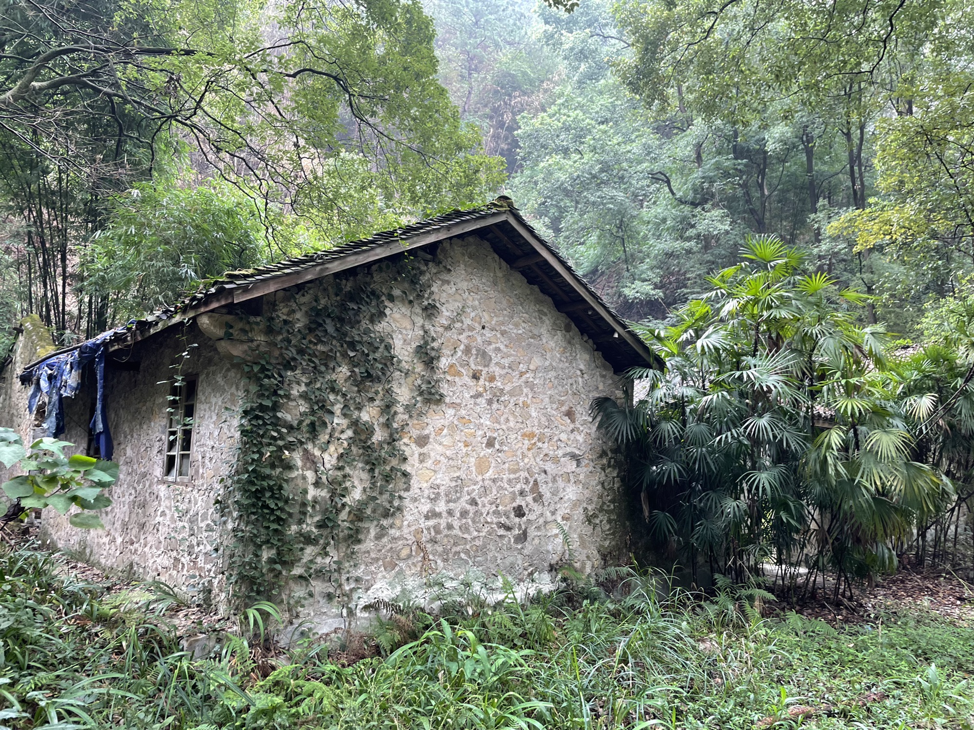 孔雀谷旅行图片 3