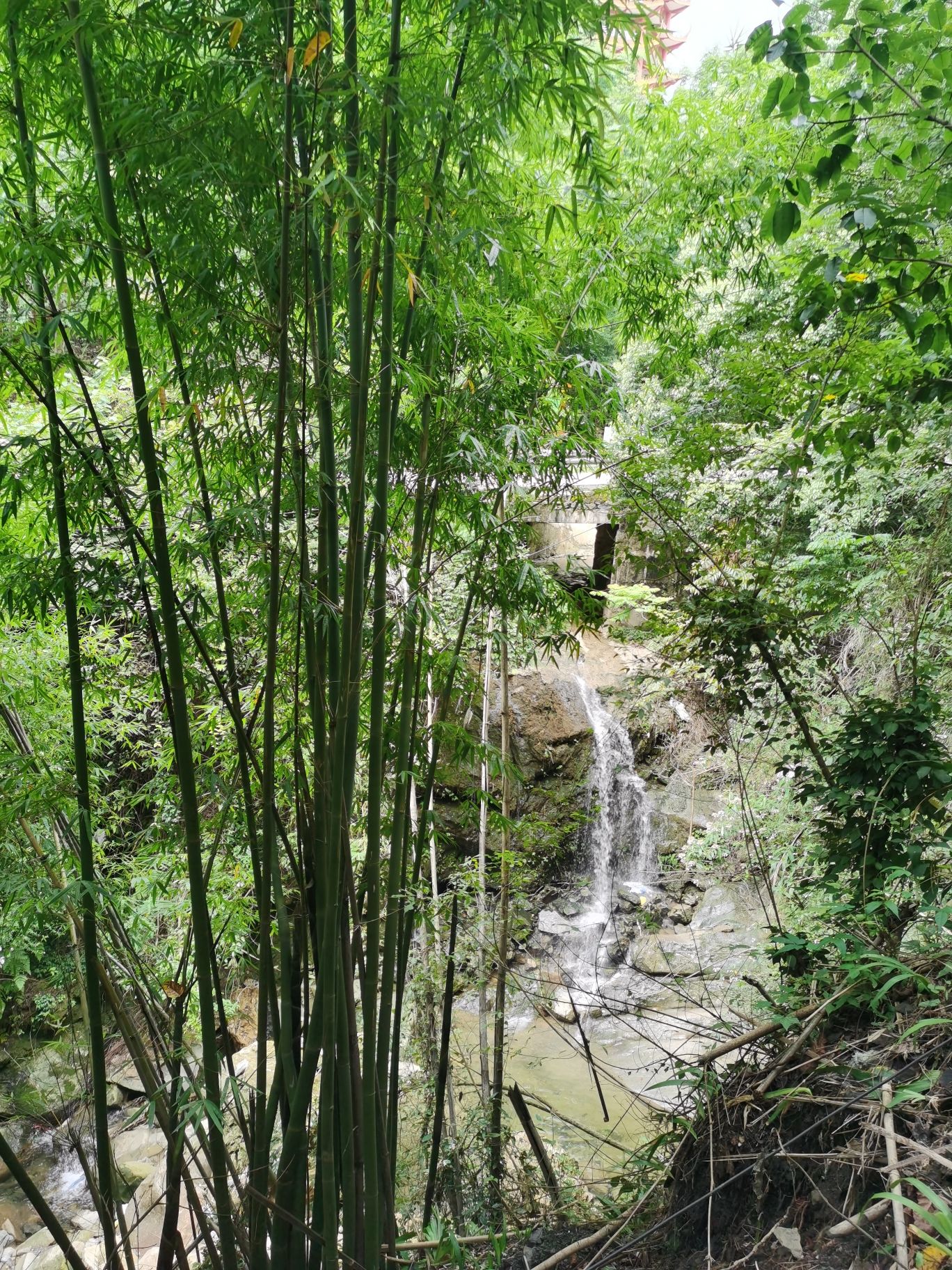 孔雀谷旅行图片 3