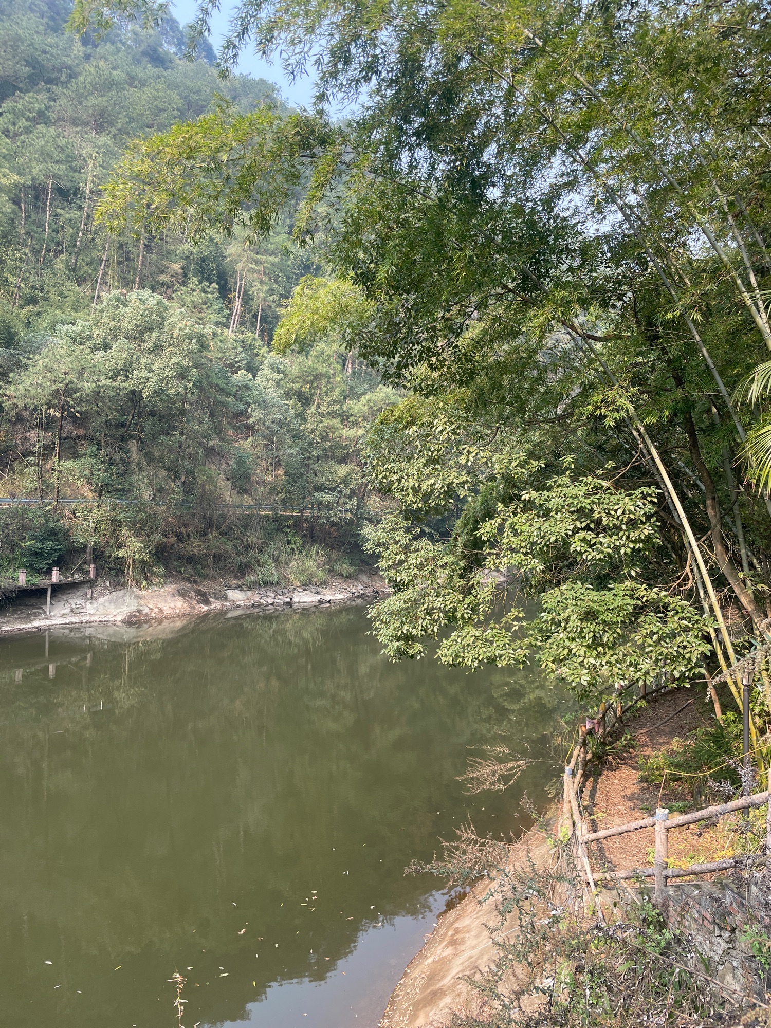 孔雀谷旅行图片 1