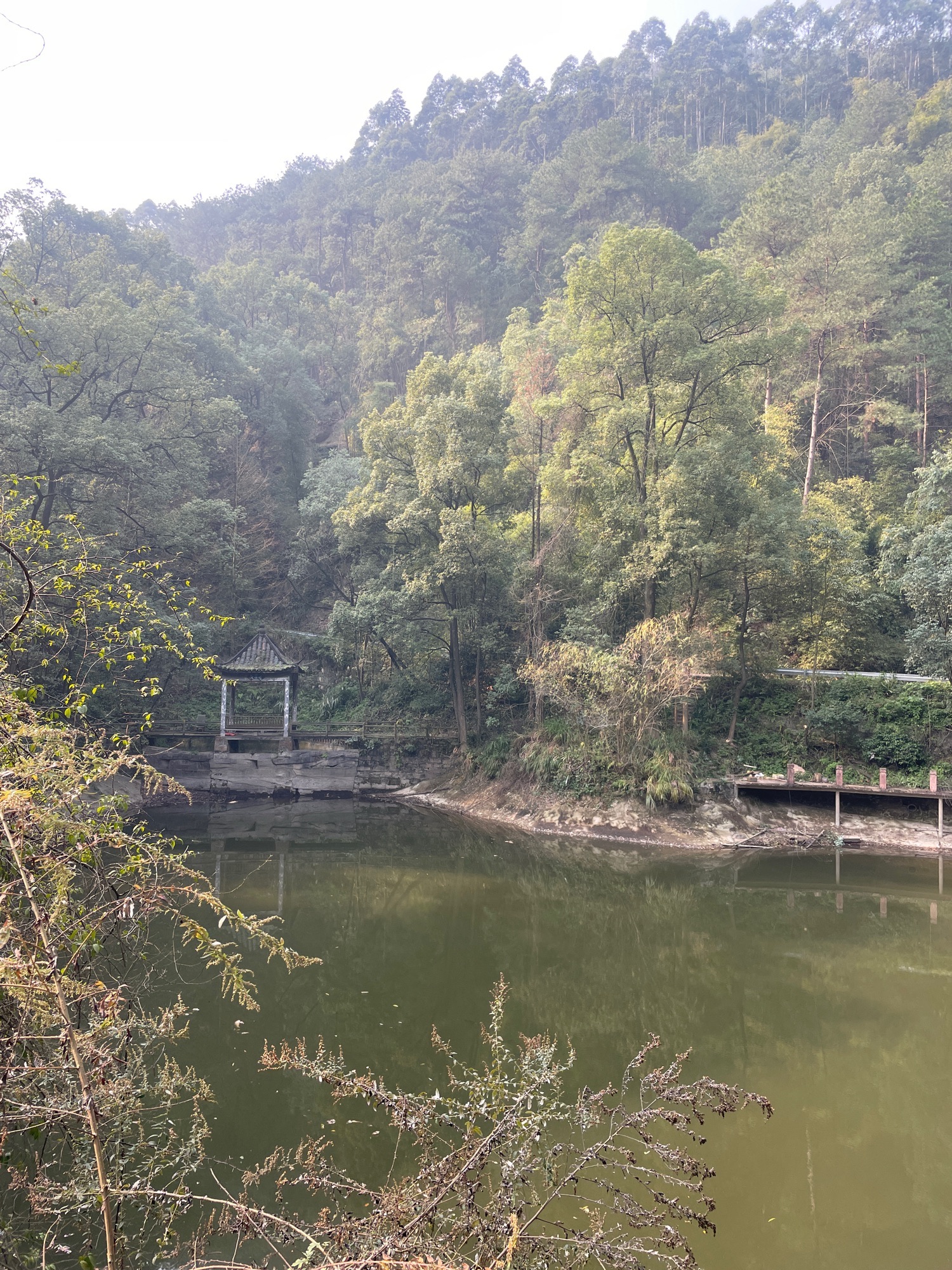 孔雀谷旅行图片 2