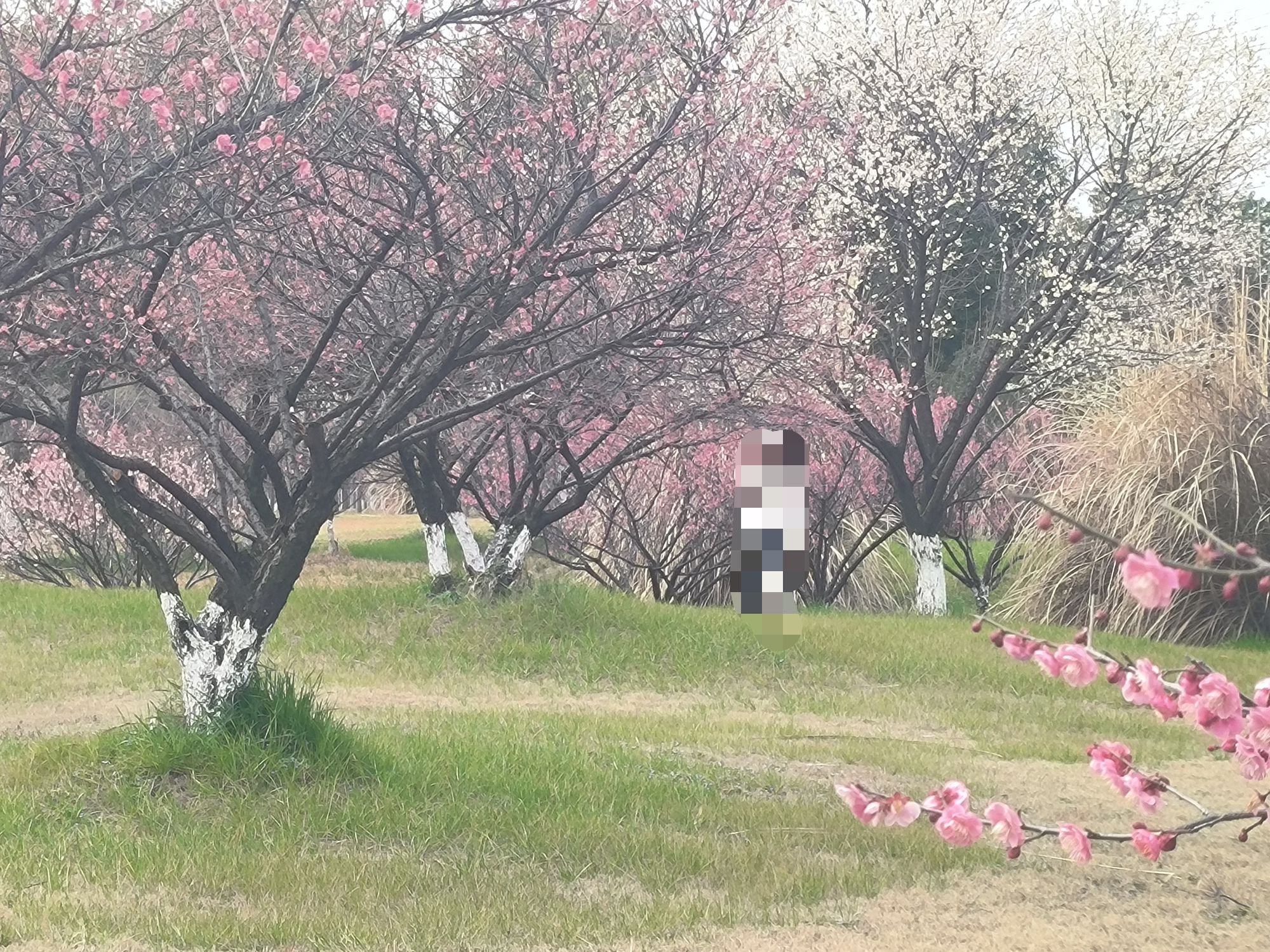 中心河公园旅行图片 1