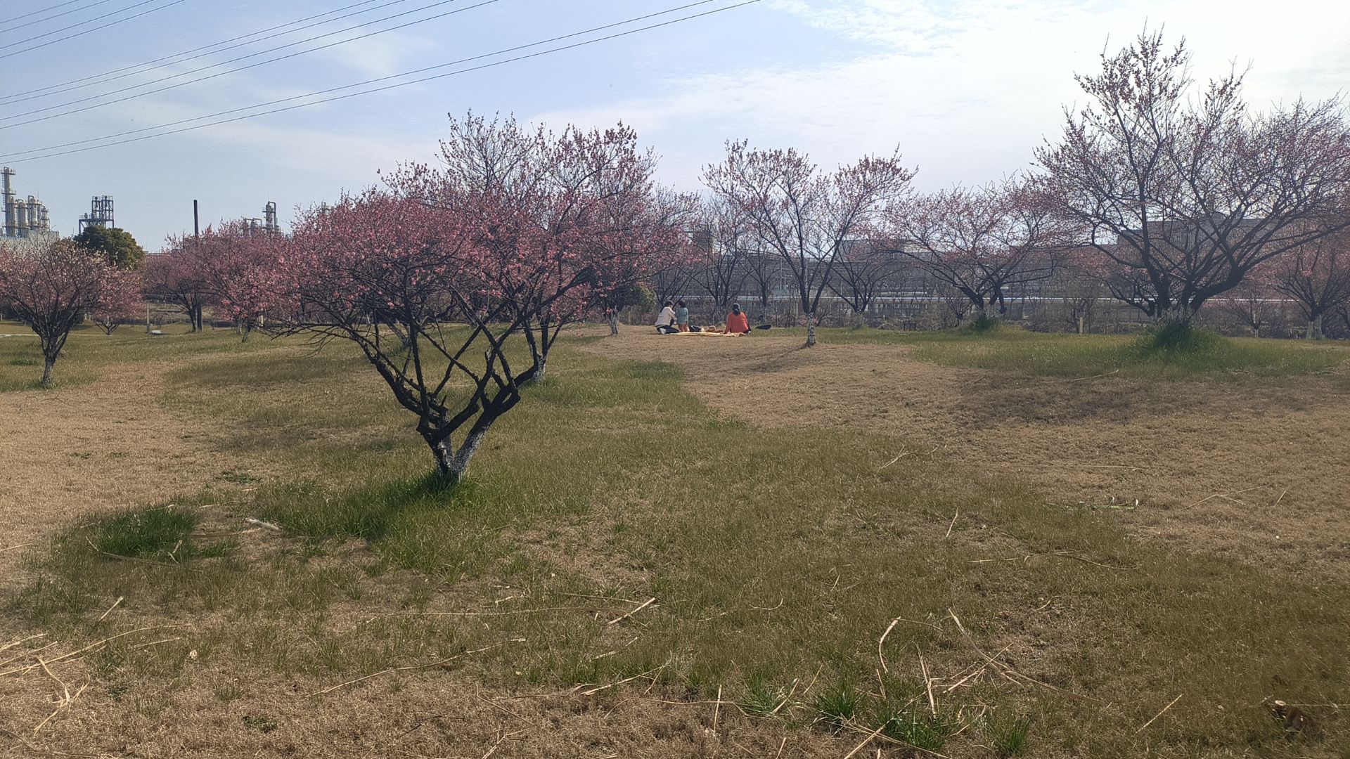 中心河公园旅行图片 2