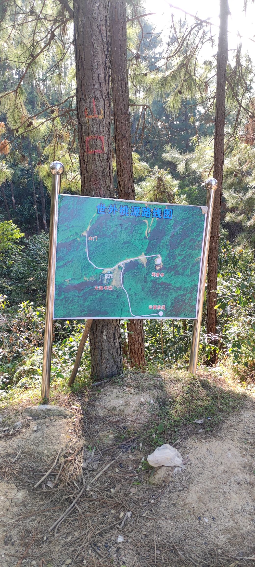 世外桃源森林公园旅行图片 1