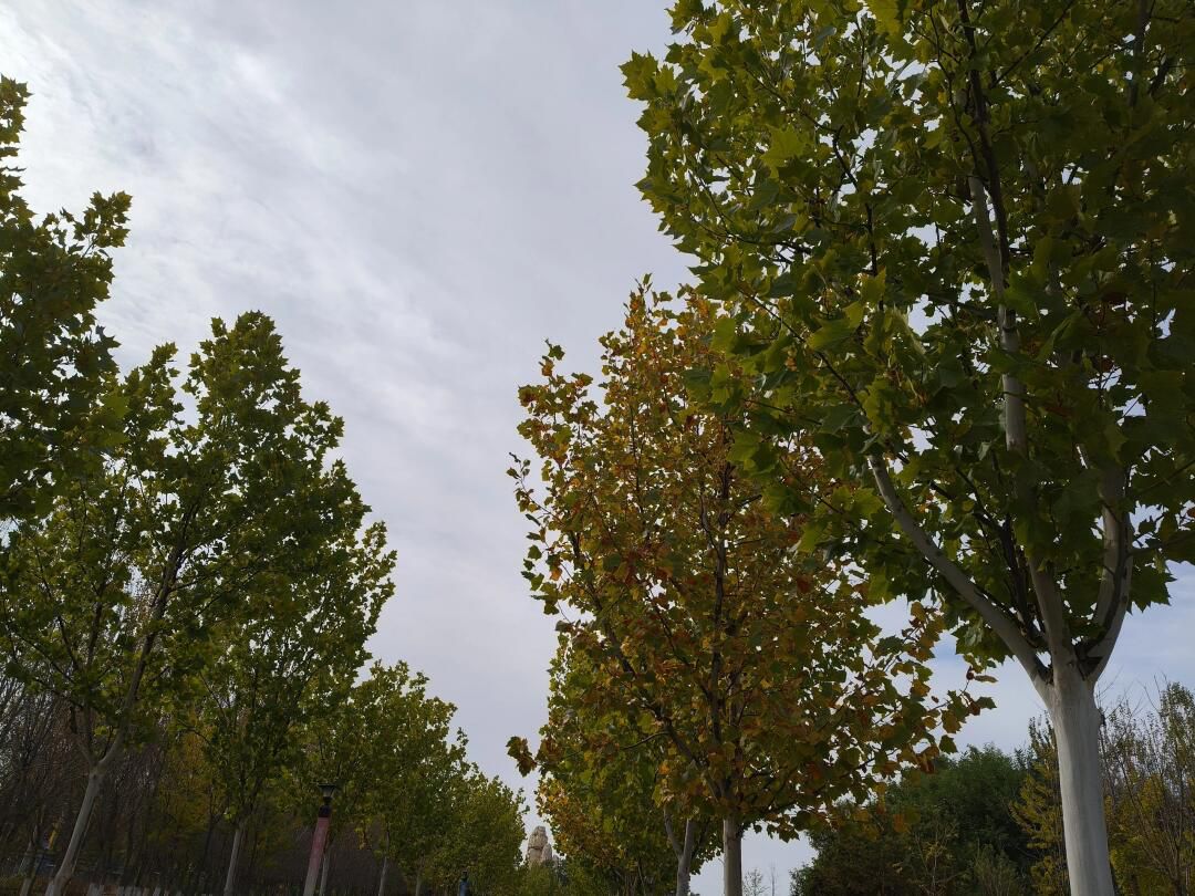 锦绣花谷旅行图片 1