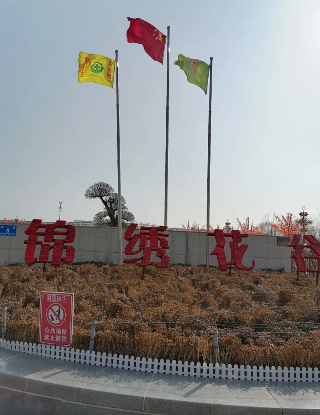 锦绣花谷旅行图片 1