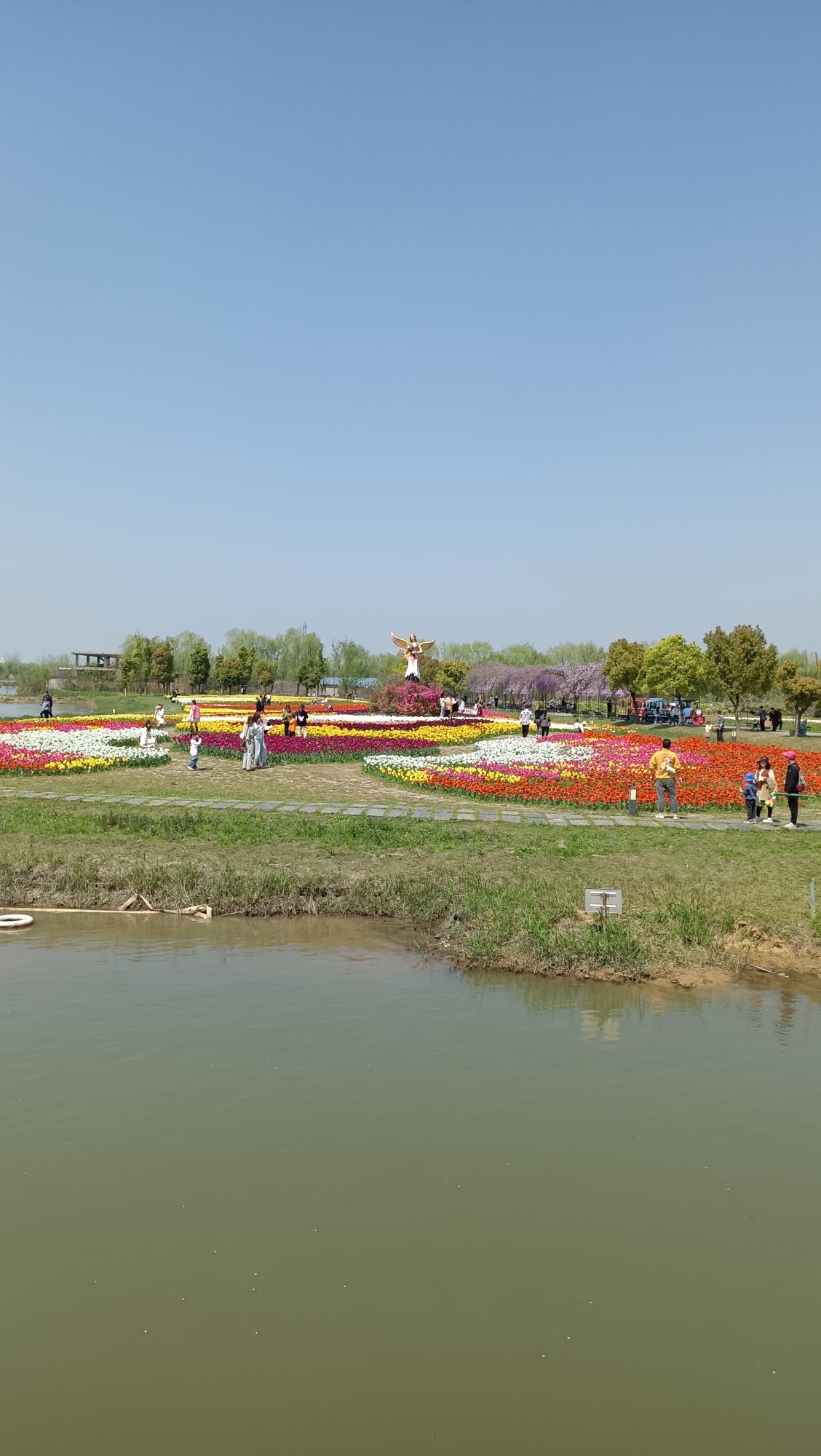 芜湖六郎湿地花海景区旅行图片 3