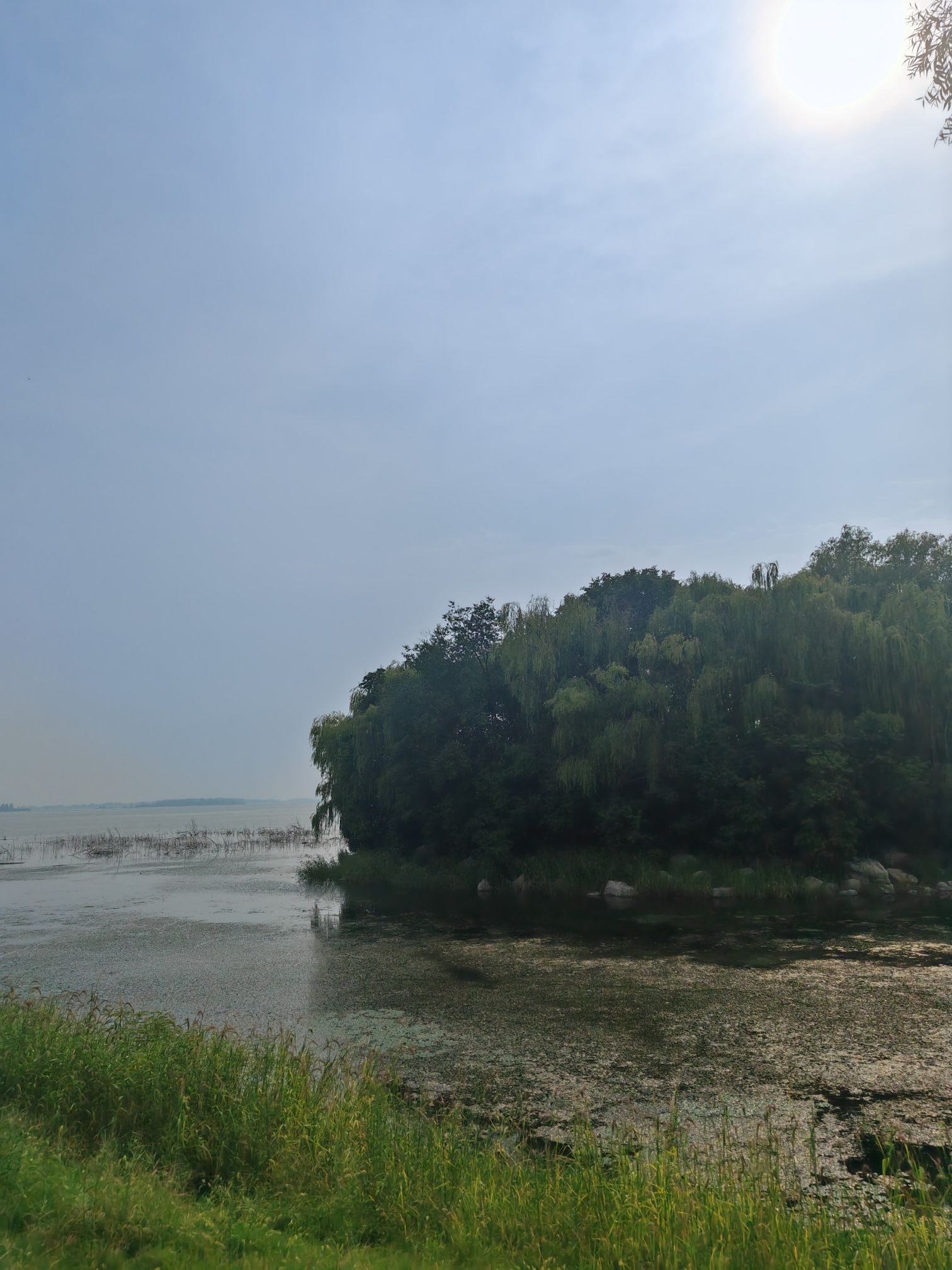 白龟湖国家城市湿地公园旅行图片 2