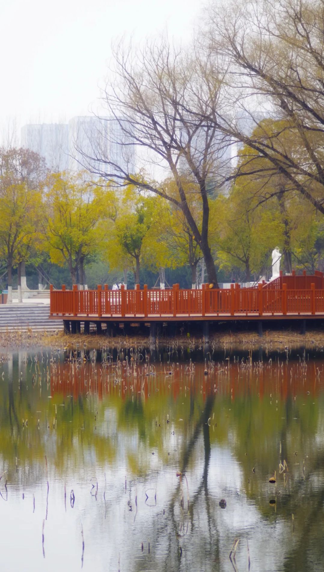 白龟湖国家城市湿地公园旅行图片 1