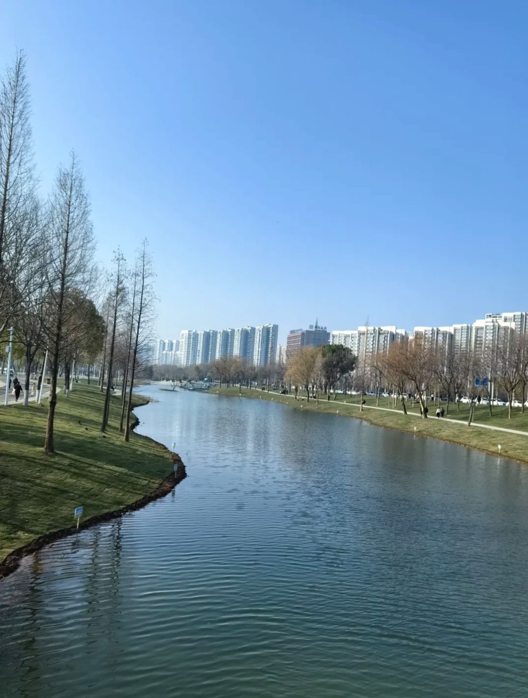 白龟湖国家城市湿地公园旅行图片 3