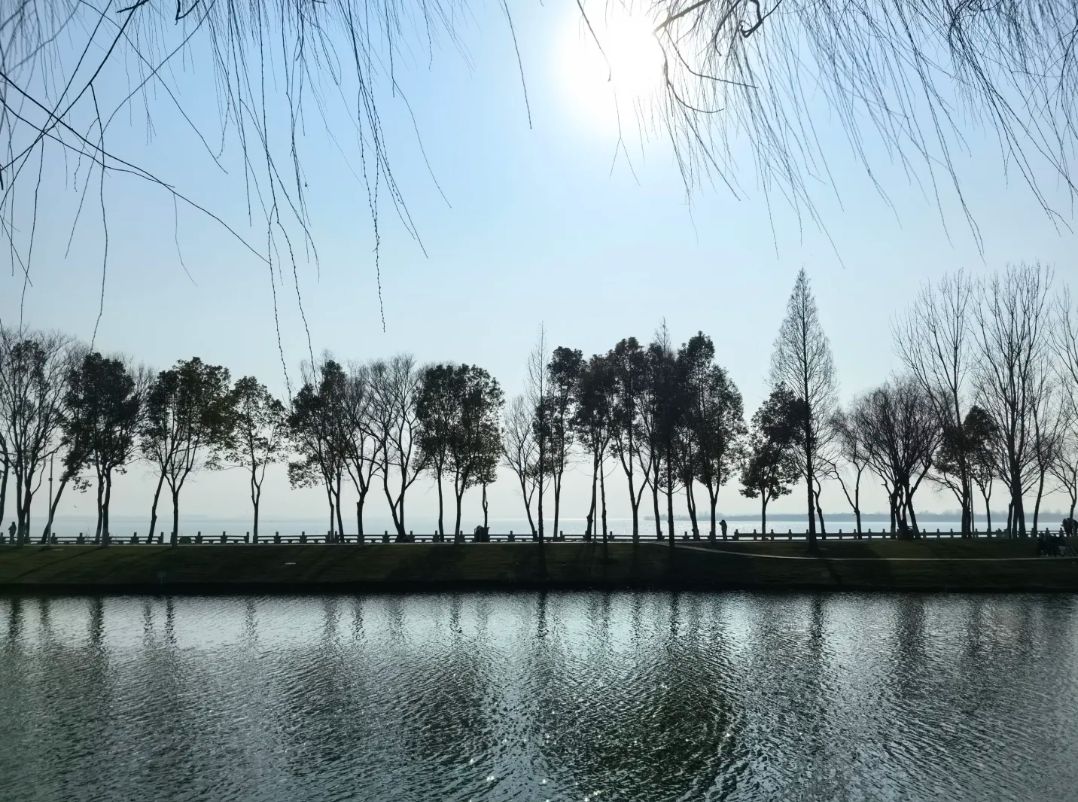 白龟湖国家城市湿地公园旅行图片 2