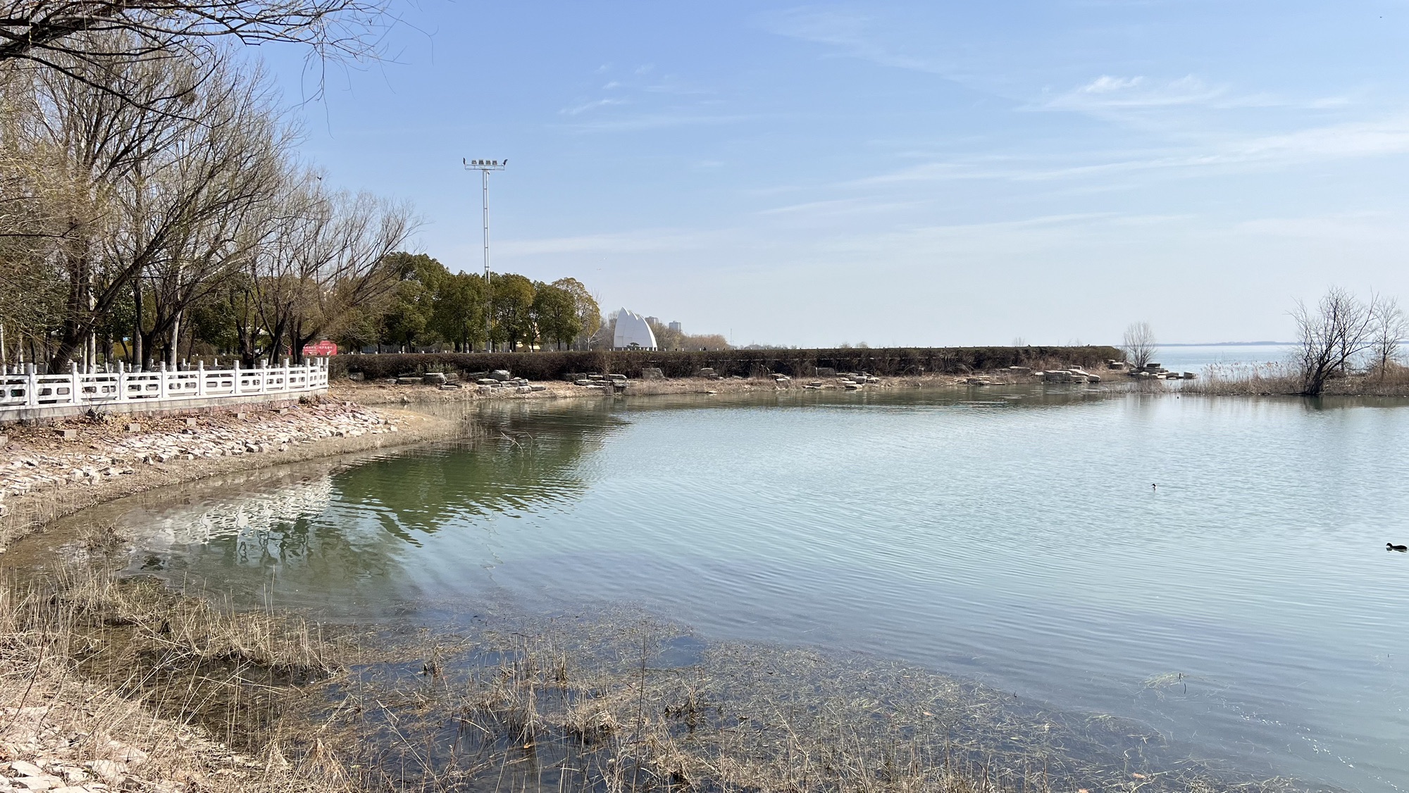 白龟湖国家城市湿地公园旅行图片 2