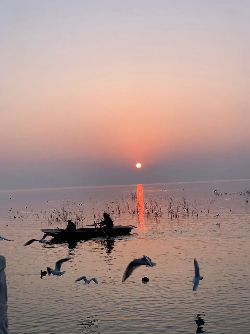 白龟湖国家城市湿地公园旅行图片 1
