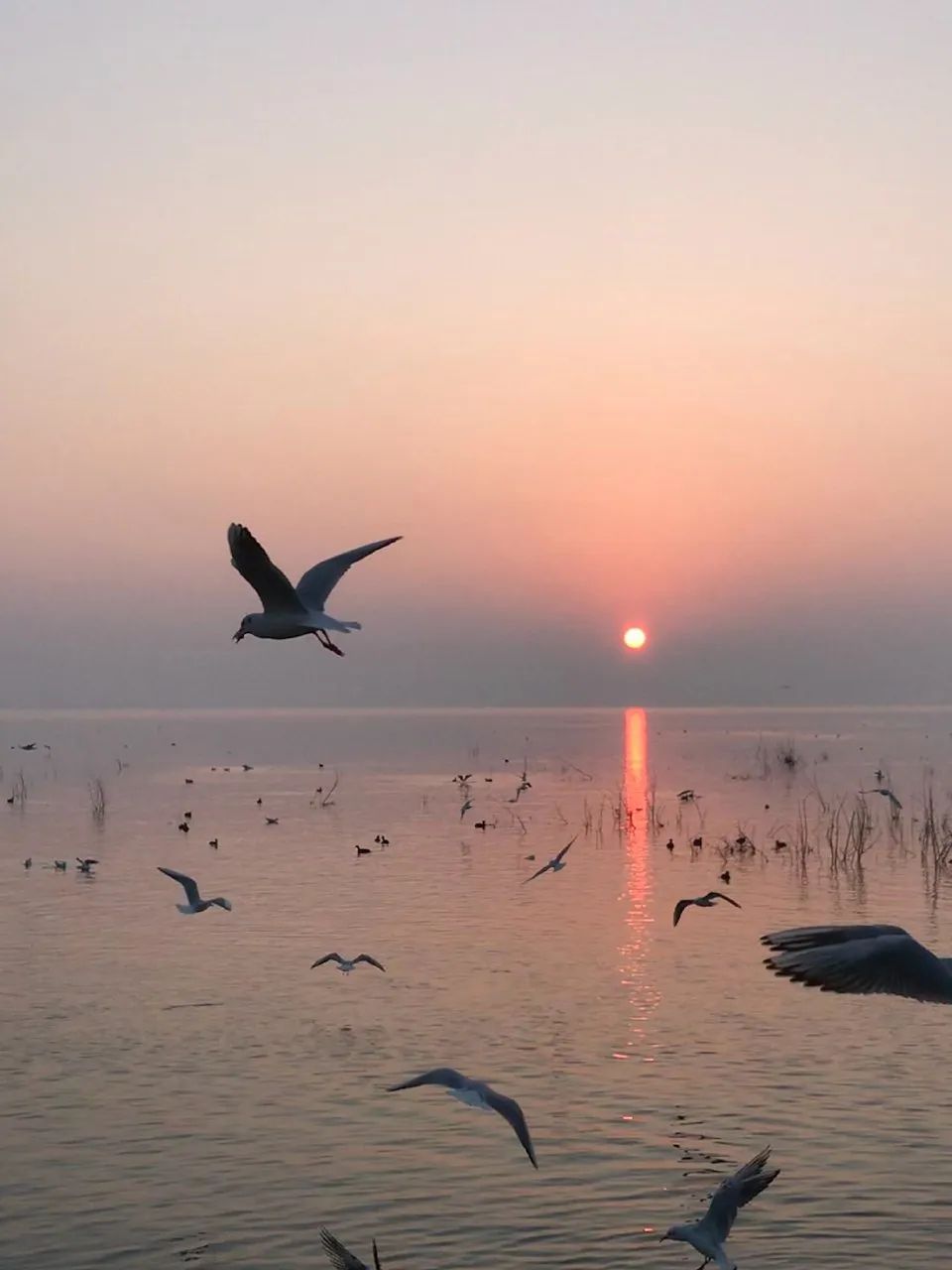 白龟湖国家城市湿地公园旅行图片 3