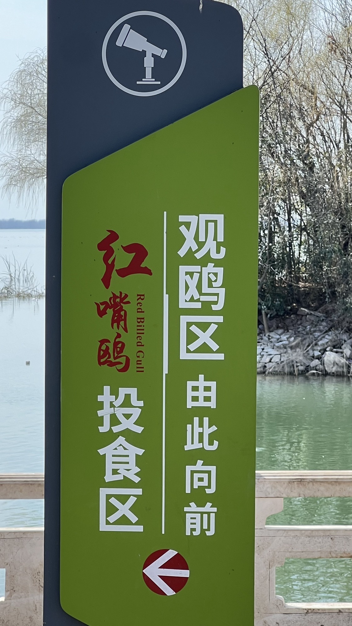 白龟湖国家城市湿地公园旅行图片 1