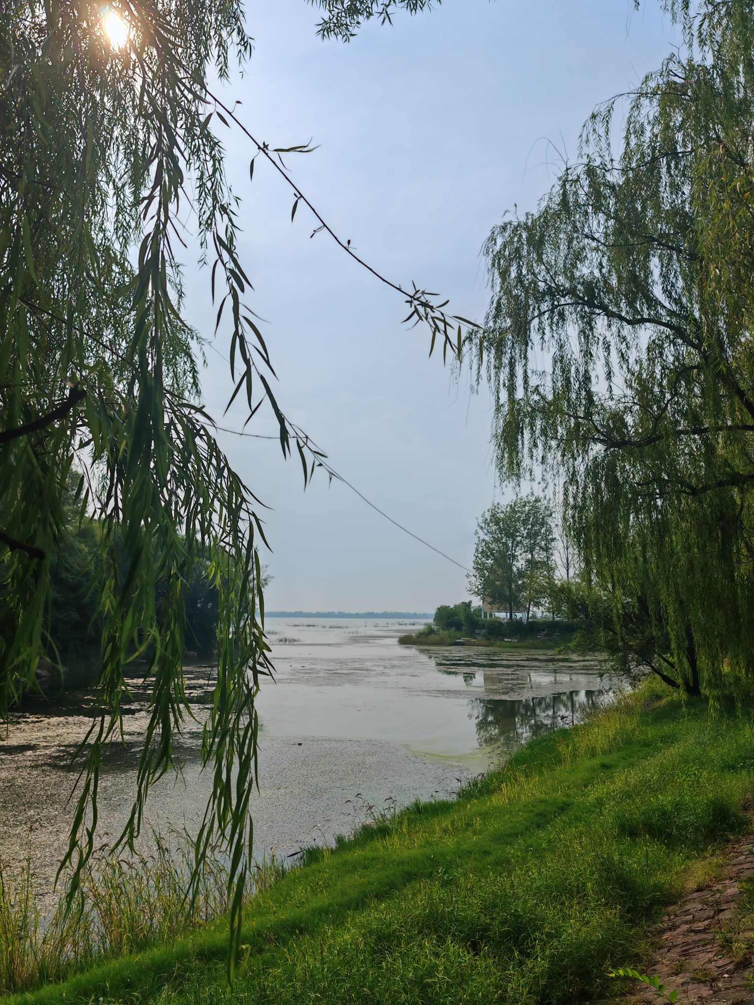 白龟湖国家城市湿地公园旅行图片 3