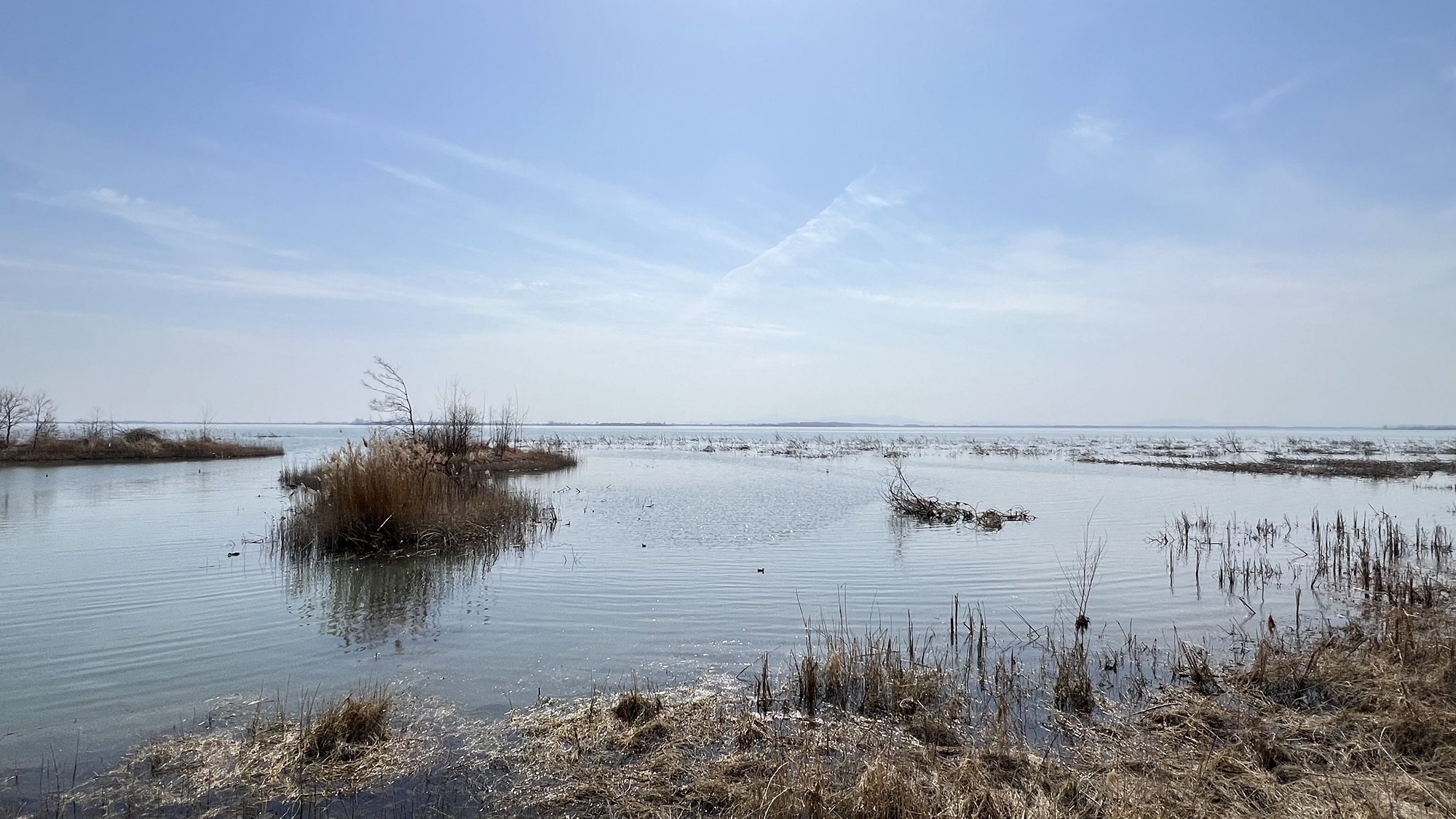 白龟湖国家城市湿地公园旅行图片 3