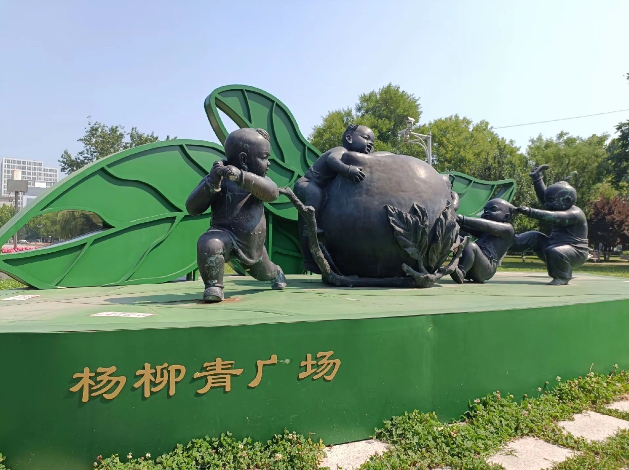 杨柳青广场旅行图片 3
