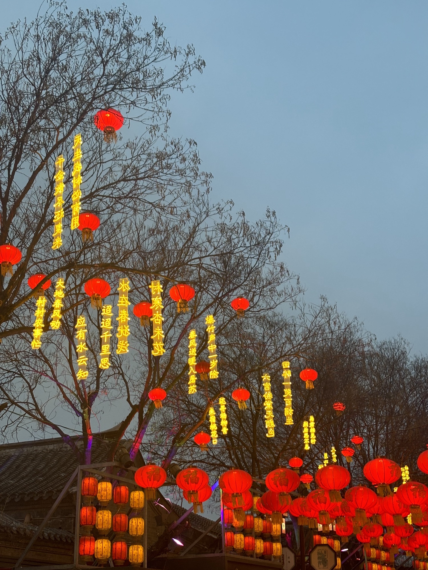 杨柳青广场旅行图片 3