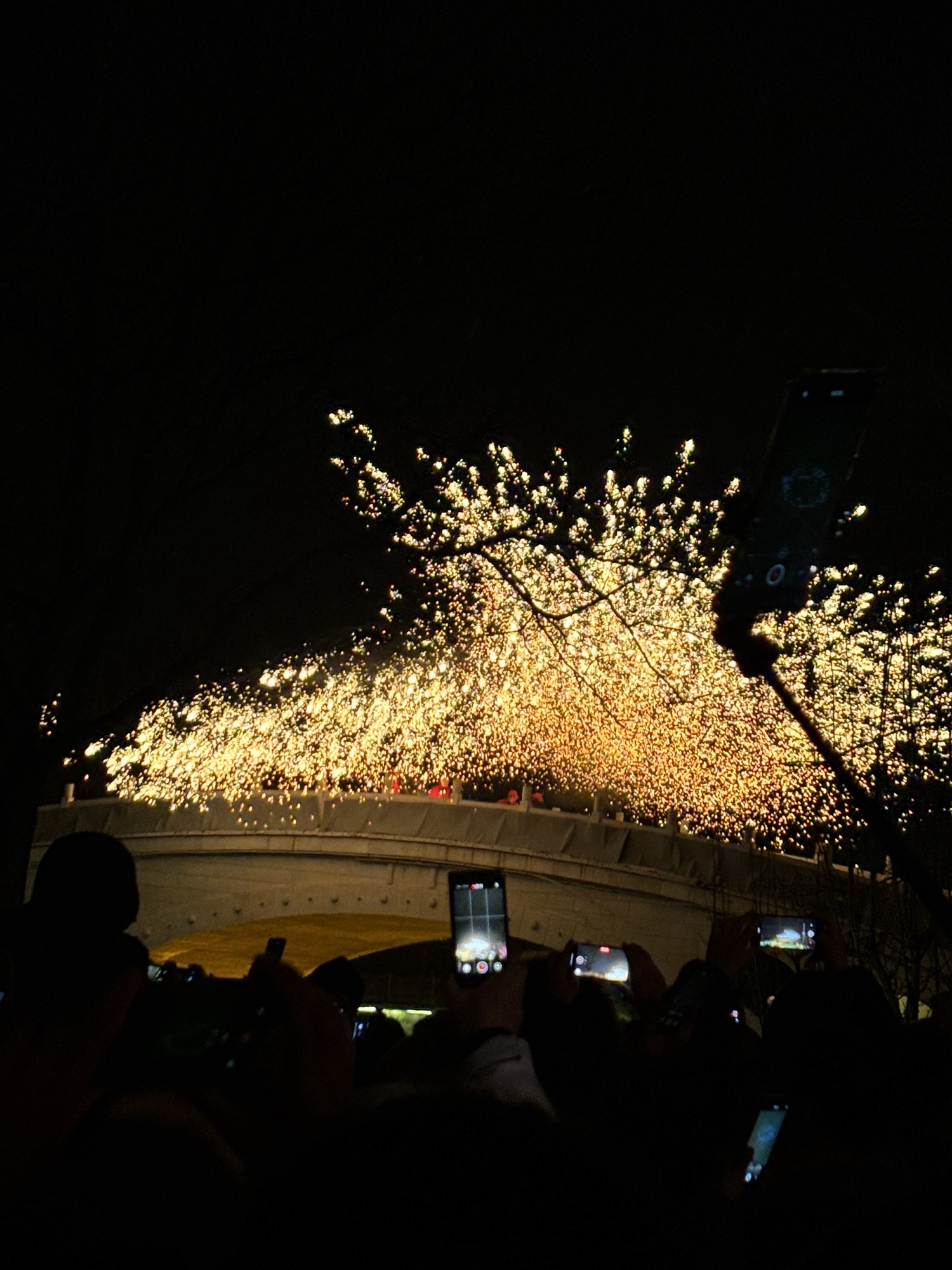 杨柳青广场旅行图片 2