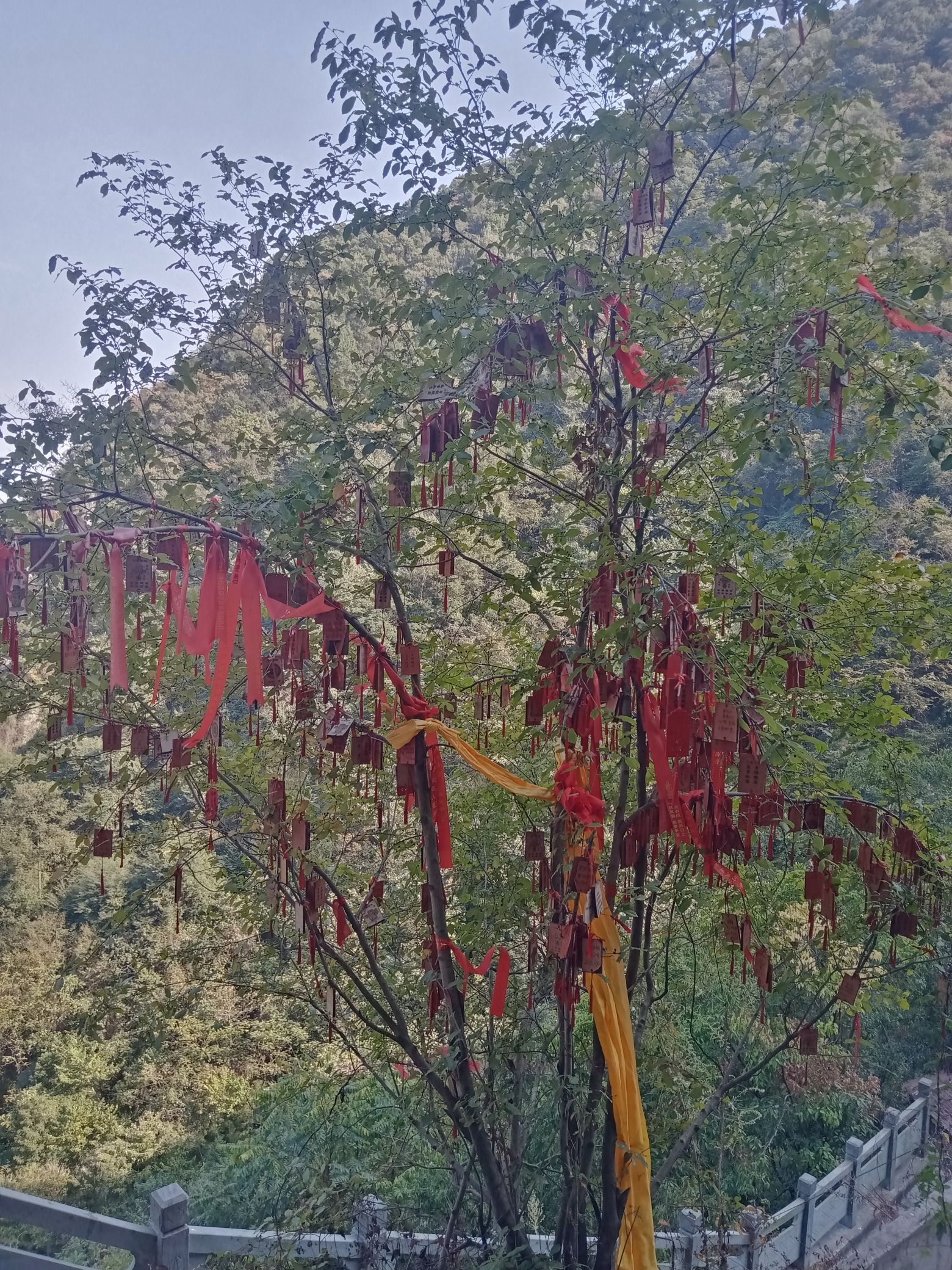 金花洞旅游区旅行图片 2