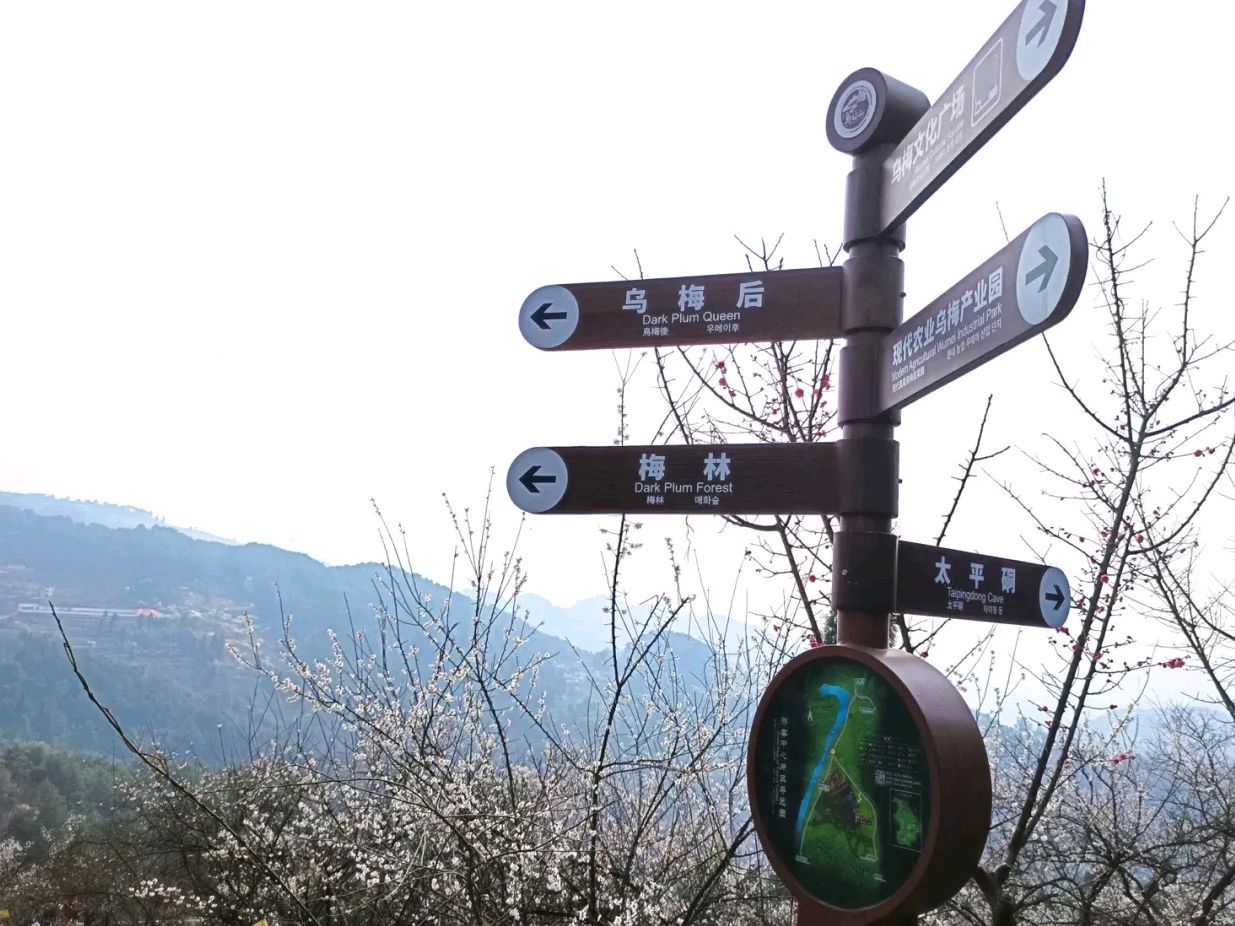 乌梅山风景名胜区旅行图片 3