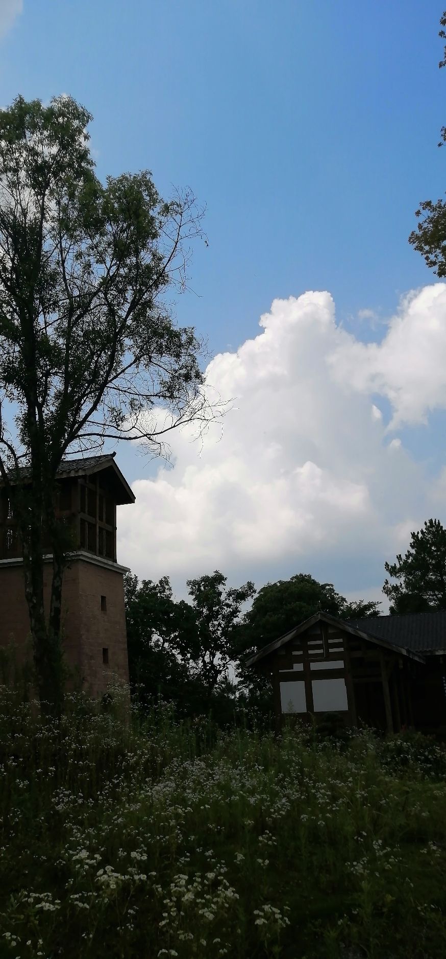 乌梅山风景名胜区旅行图片 3