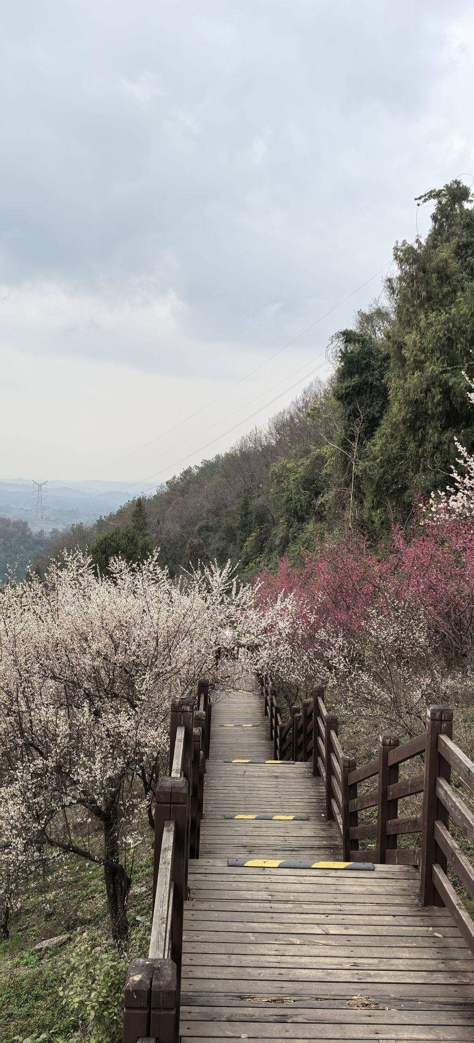 乌梅山风景名胜区旅行图片 2