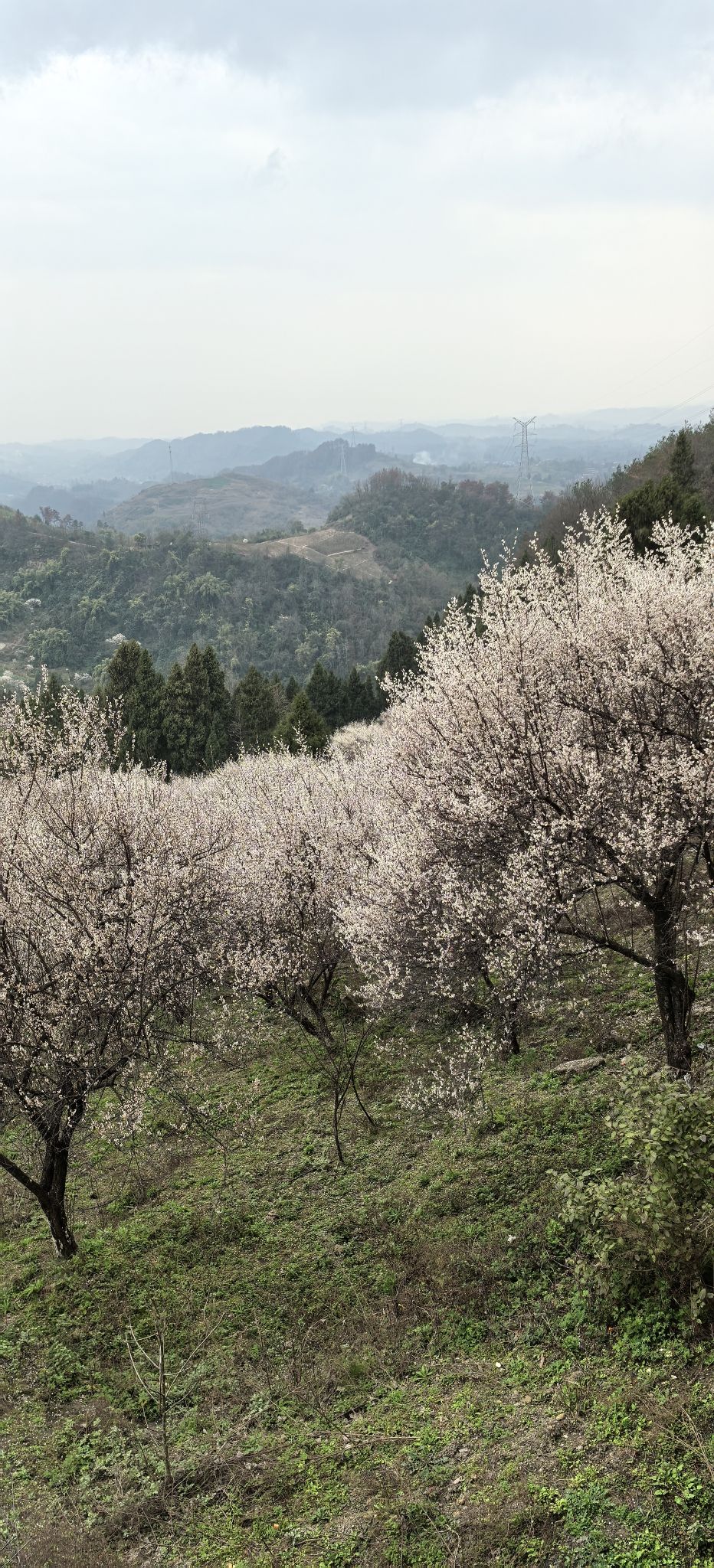 乌梅山风景名胜区旅行图片 3