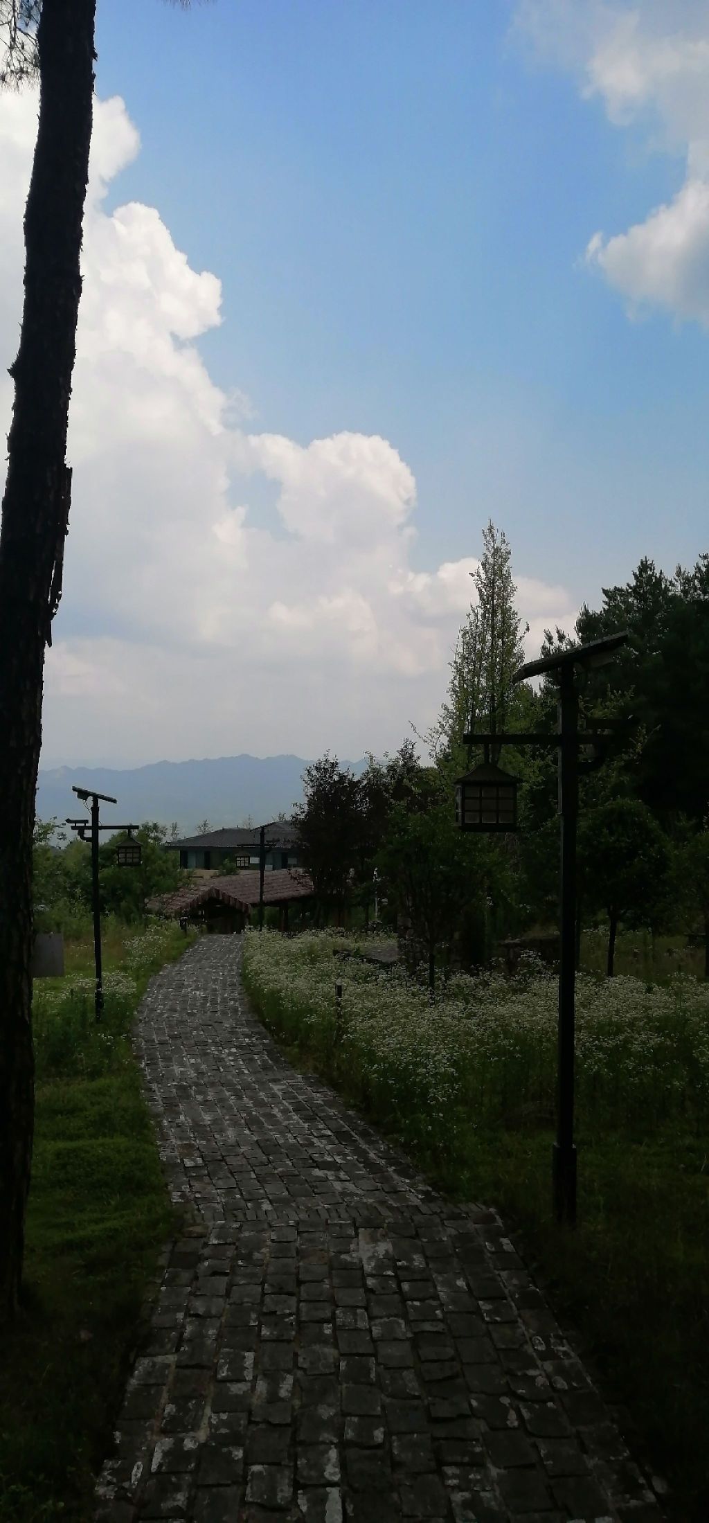 乌梅山风景名胜区旅行图片 1