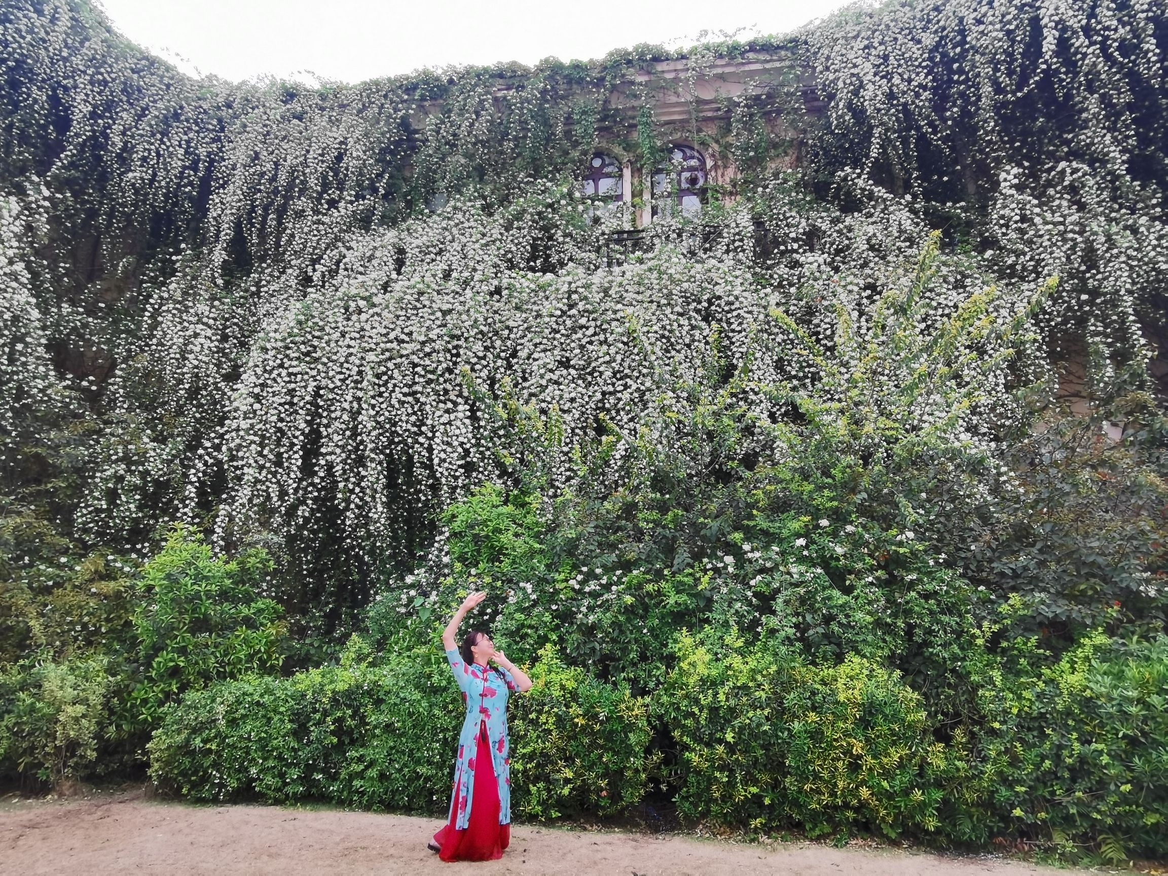 府河摄影公园旅行图片 3