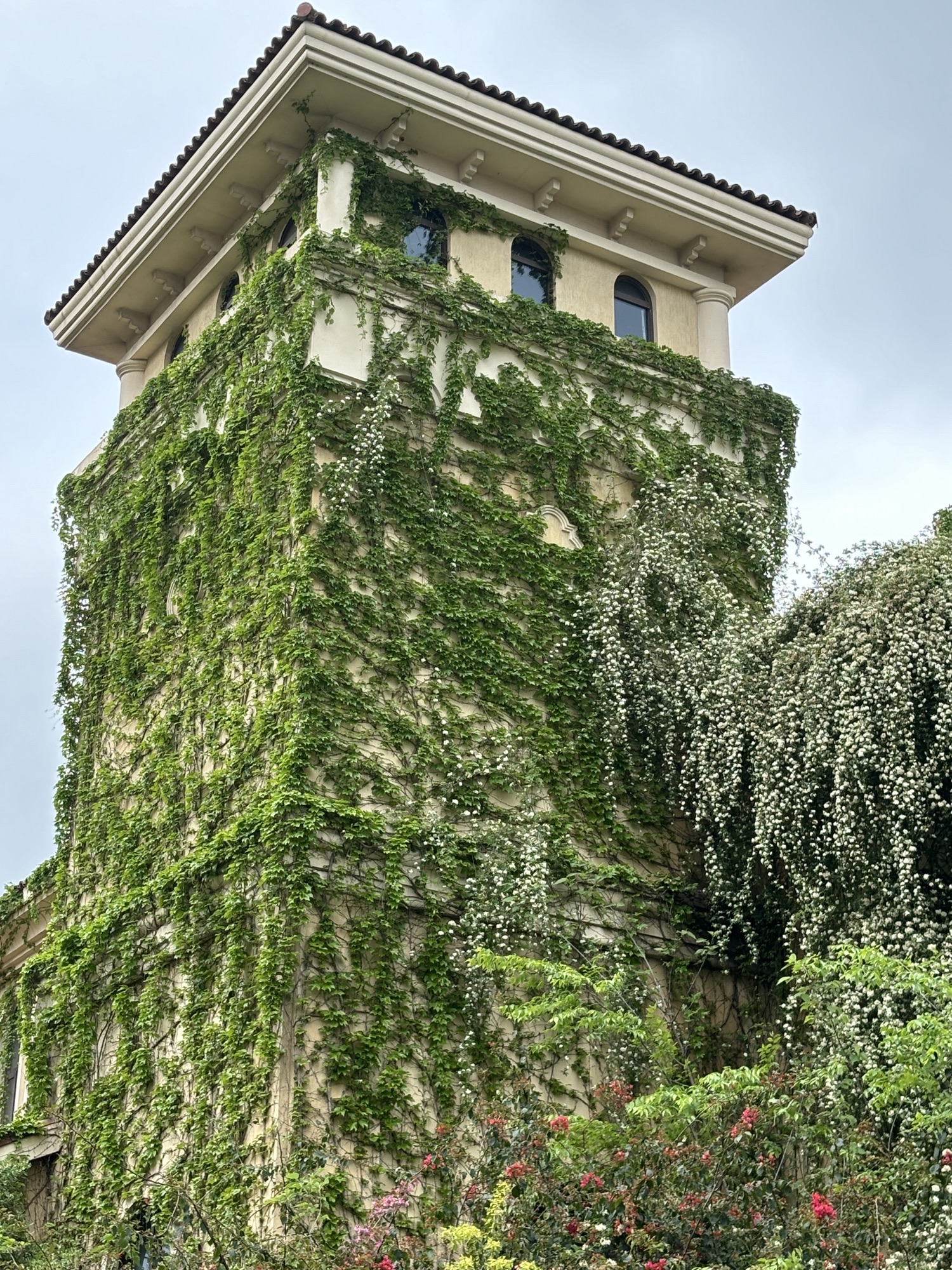 府河摄影公园旅行图片 3