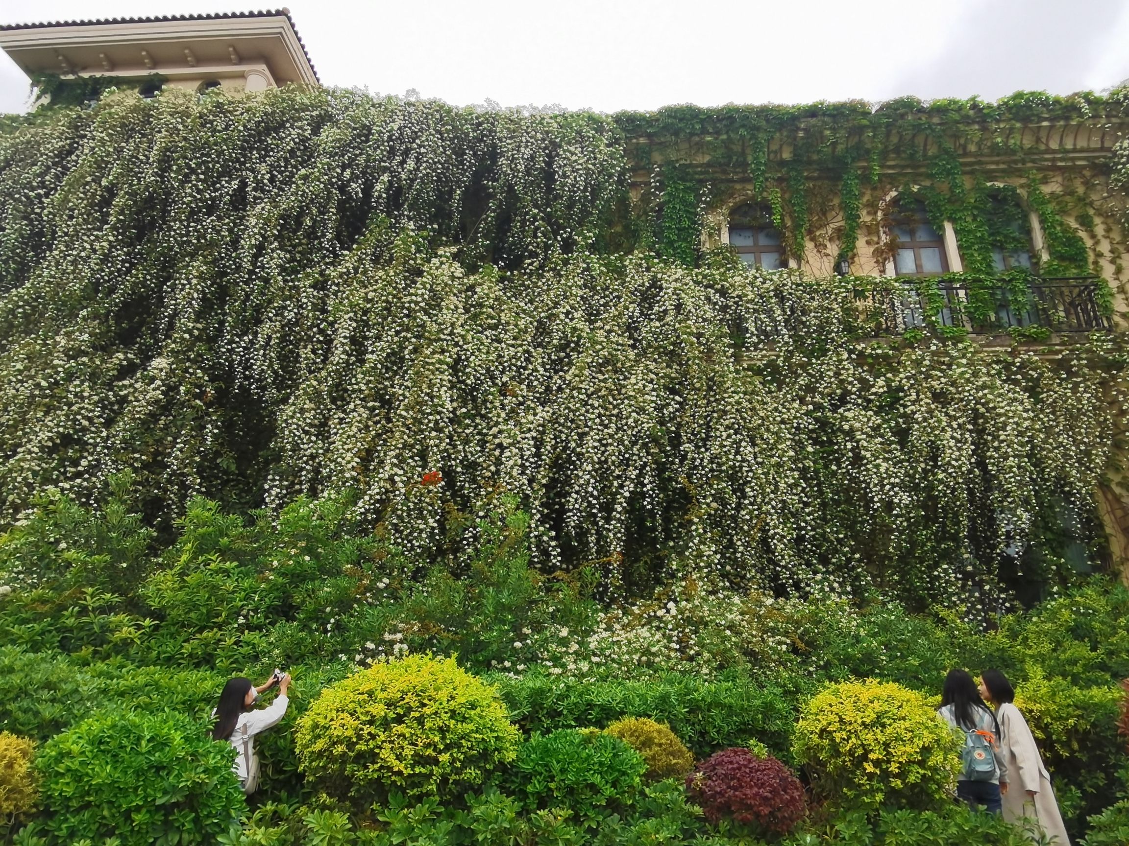 府河摄影公园旅行图片 2