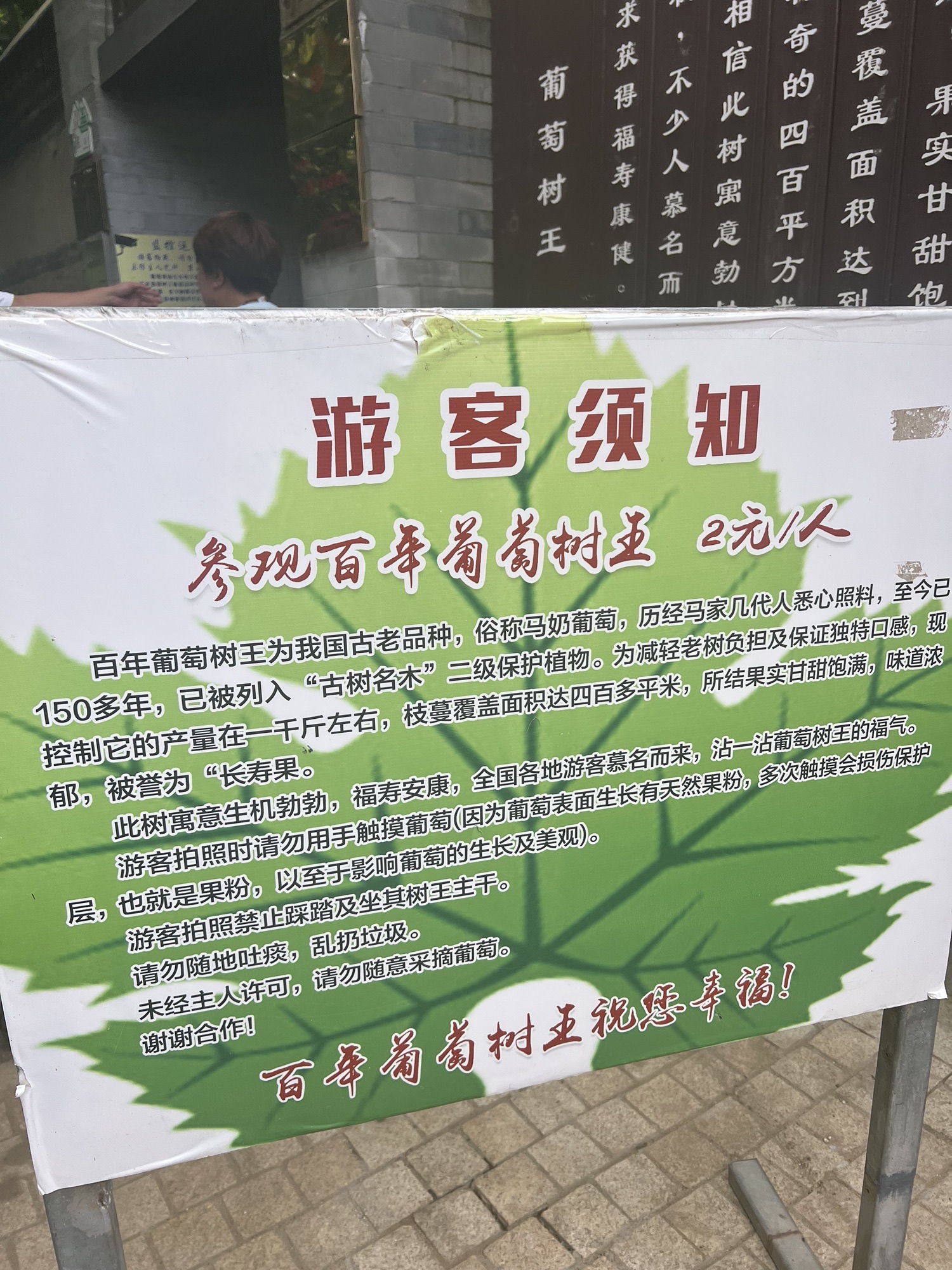 昌黎葡萄小镇旅行图片 1