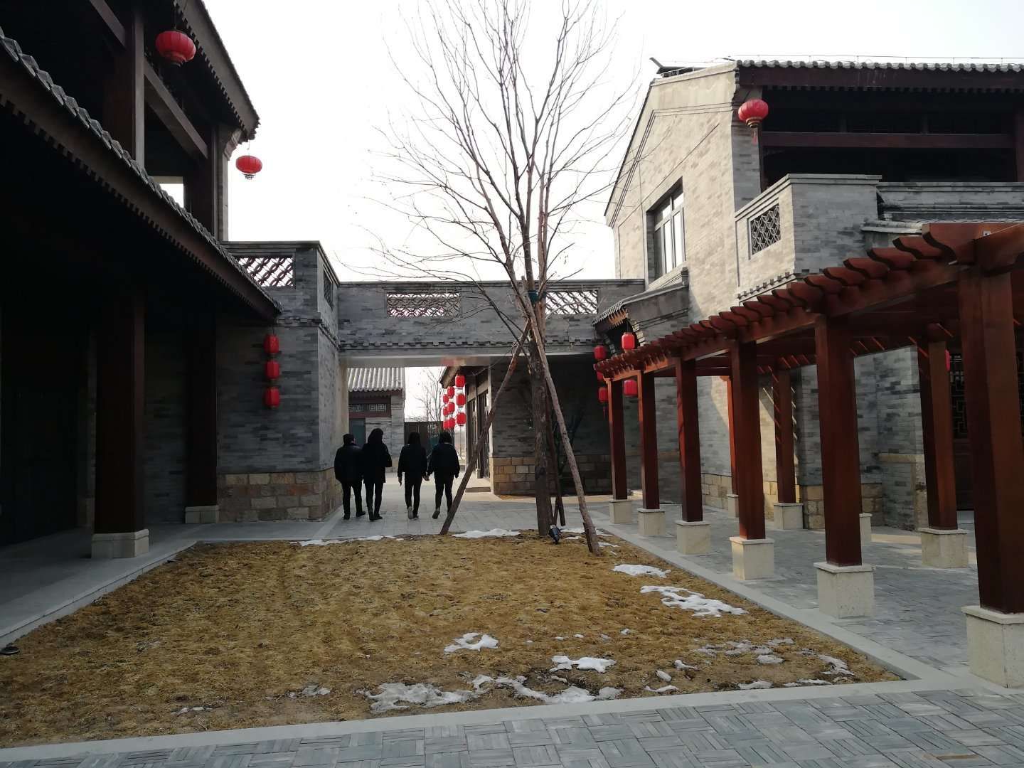 昌黎葡萄小镇旅行图片 3
