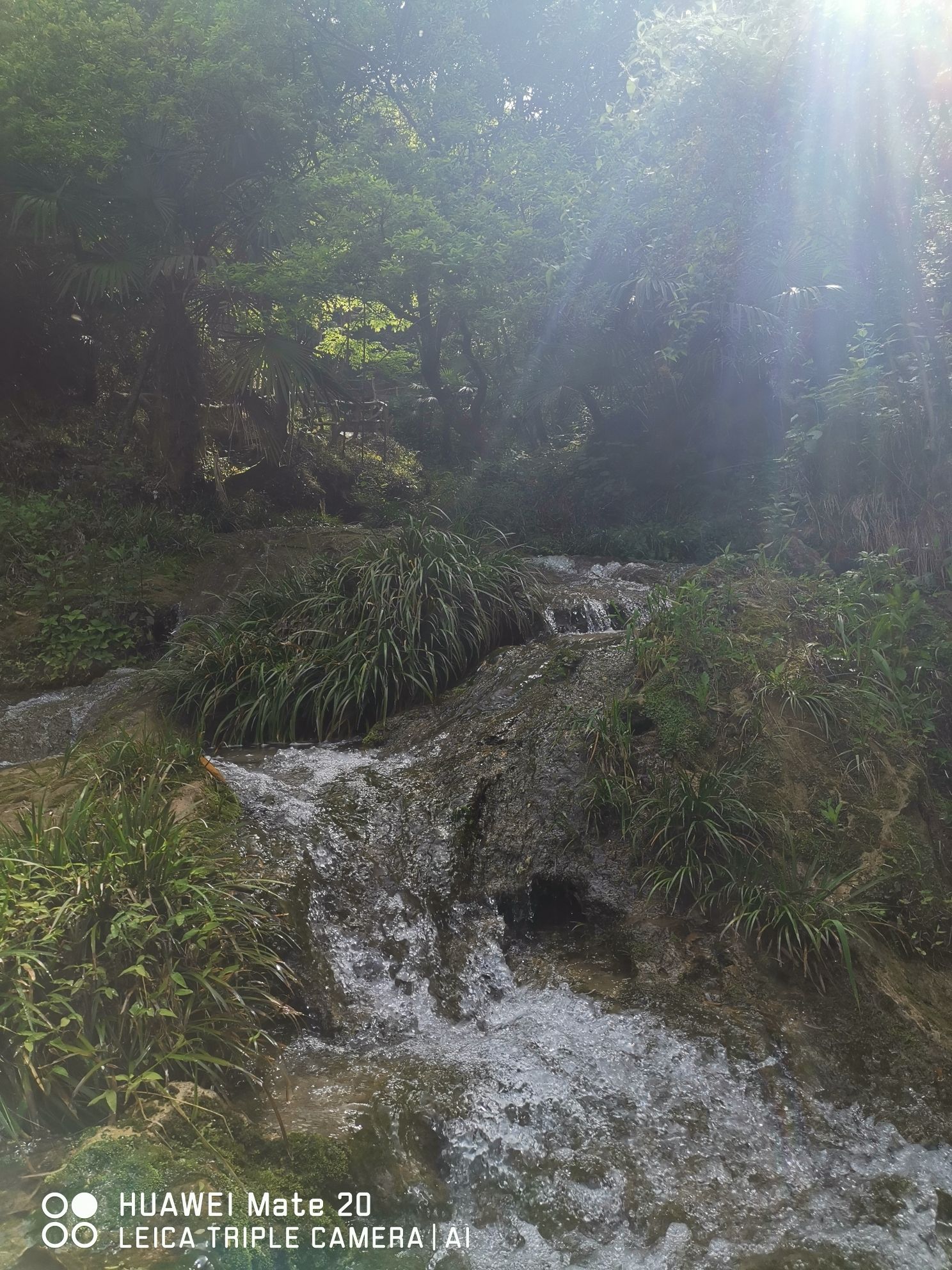 宝峰岩景区旅行图片 2