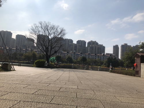 光明港南公园旅行图片 1