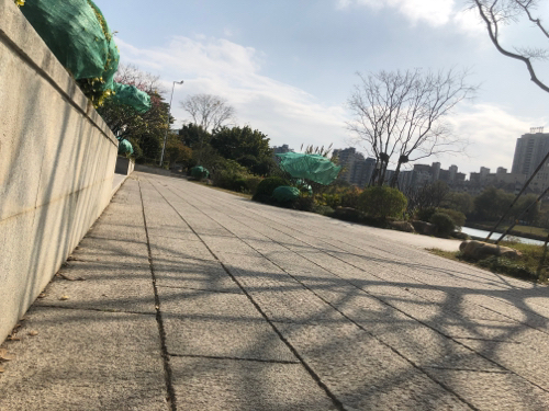 光明港南公园旅行图片 2