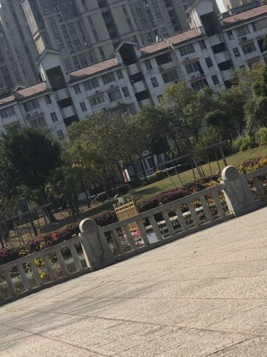 光明港南公园旅行图片 3