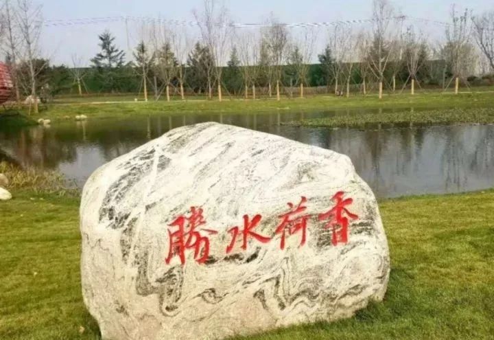 文安文礼公园旅行图片 3