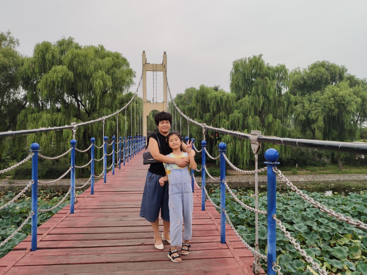 吊桥公园旅行图片 2