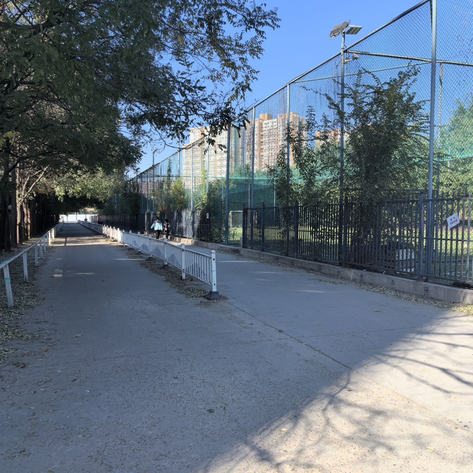 场地封面-旋风球场