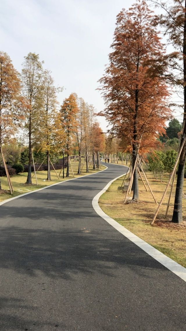 狮子岭公园旅行图片 2