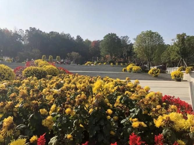 狮子岭公园旅行图片 3