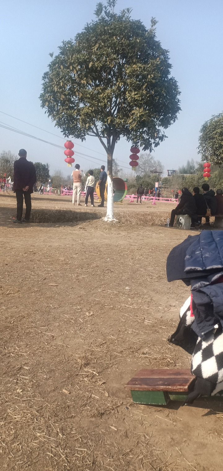 太极岛旅行图片 3